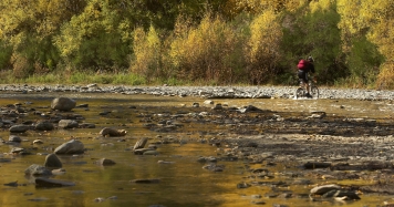 Biking on the Arrow River Queenstown Trail