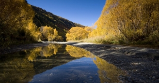 Autumn colours on the Arrow River