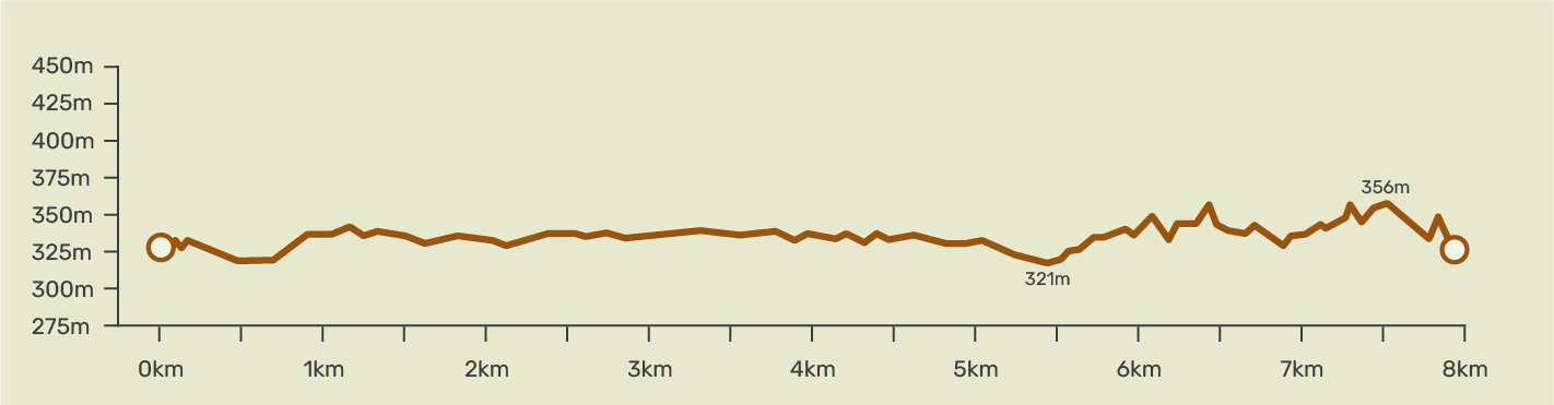 Lake Hayes Trail Elevation3