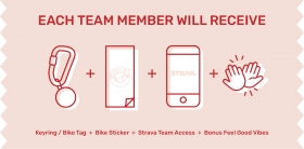 Xmas graphics EDM 1200 3